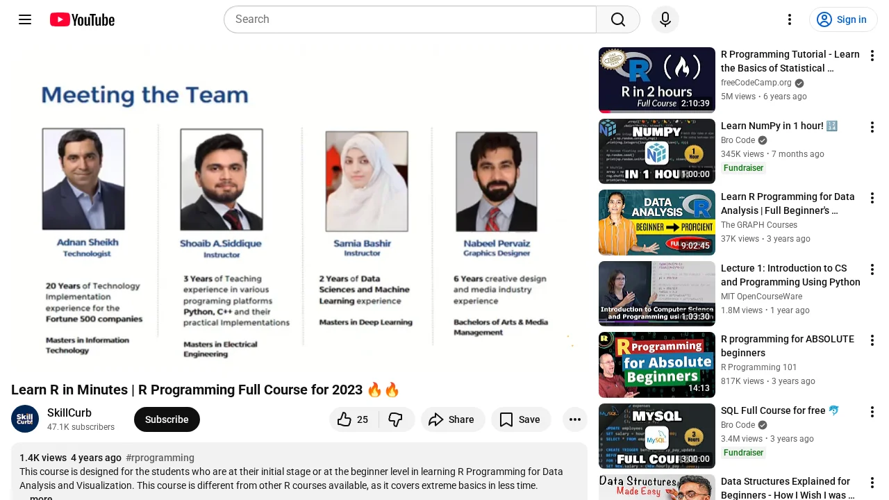 R programming, full course