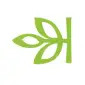 Ancestry logo